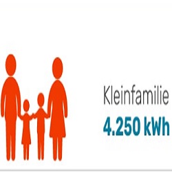 3.100 - 5.000 kWh (ca. 3-4 Personen)